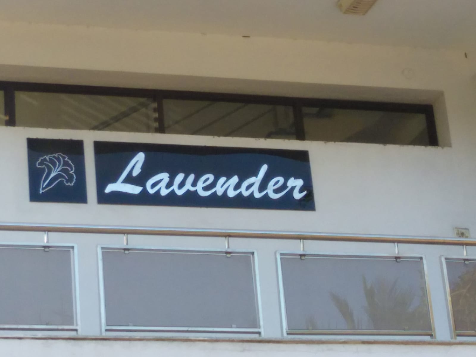 WhatsApp Image 2025-05-01 at 16.25.29